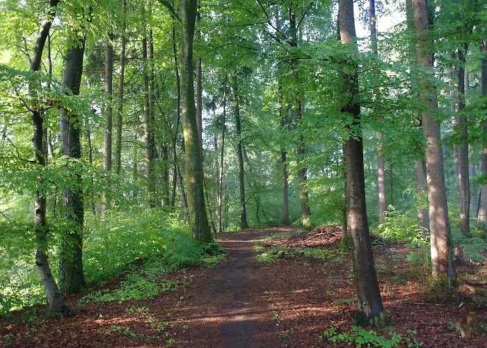 Waldgasthof Buchenhain 3* Baierbrunn