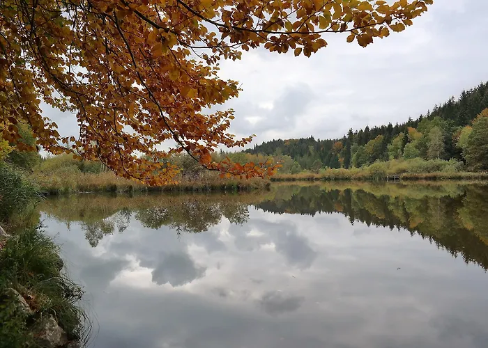 Waldgasthof Buchenhain Otel