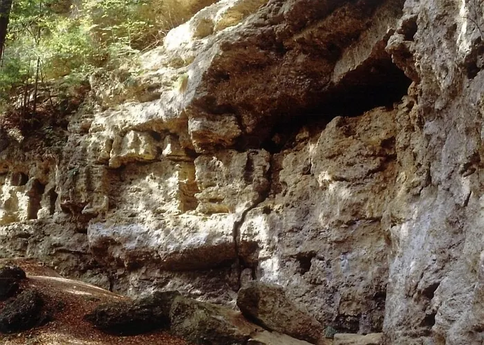 Waldgasthof Buchenhain