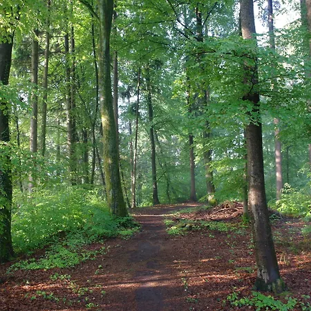 Waldgasthof Buchenhain 3* Baierbrunn