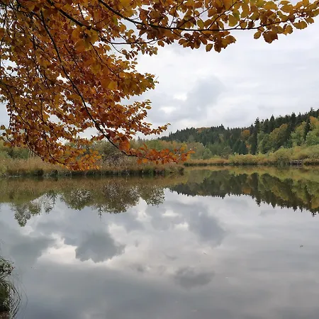 Waldgasthof Buchenhain Szálloda