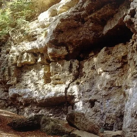 Waldgasthof Buchenhain